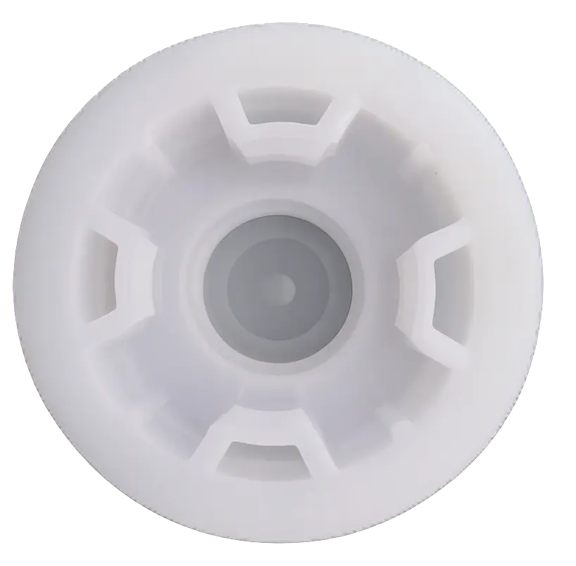Bung Front.webp